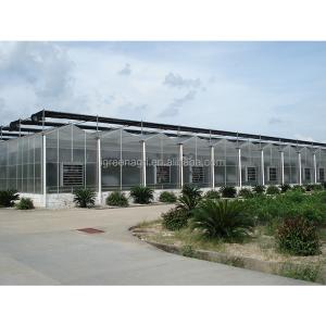 Polycarbonate Greenhouse Sheet with Customized Length and 9.6 Meter Tunnel Width