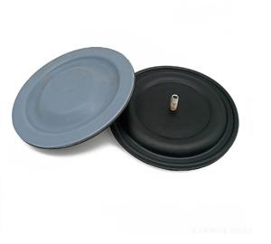 China Milton Roy GM Metering Pump Diaphragm PTFE Bonded EPDM Gasket factory