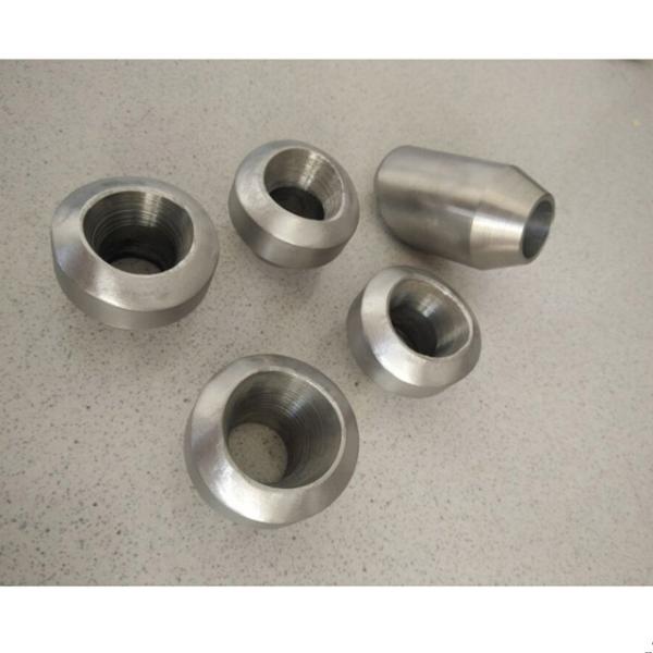 China Pure Titanium Fittings Threadolet Nipolet Sweepolet Weld O-Let Butt Weld Elbolet factory