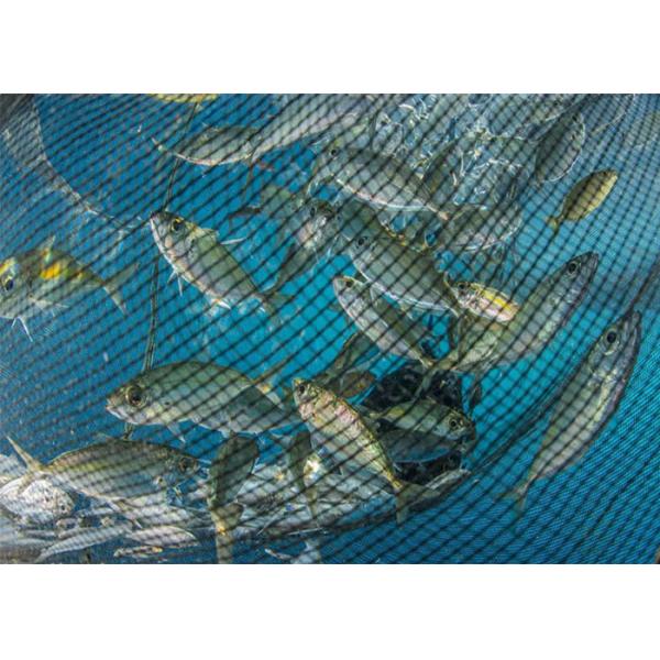 Knotless Fishing Net Machine for Aquaculture Applications