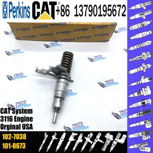 China Durable Fuel Injector Assembly 102-7038 102-7038 For CAT Engine 3116 Series factory