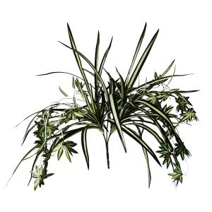 China Fire Retardant Anti UV Artificial Spider Plant , Silk Spider Plant Aesthetic factory