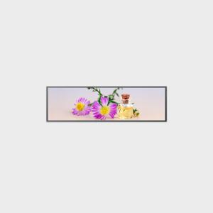 China 49.5 inch Bar Type LCD Display 3840*1080 V-by-One 250nits factory