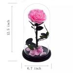 Natural Fresh Roses Flowers Everlasting Preserved Eternal Rose beautiful Rose