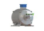 Synchronous Permanent Wind Power Alternator Low Rpm High Efficiency
