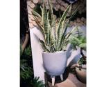 Fiber Clay Pots, outdoor pots, garden pots FR03