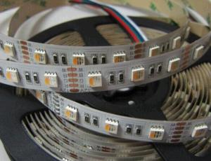 China DC12V DC24V Available 5050 RGBW/RGBWW/RGBCW LED Strip factory