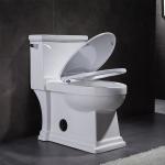 One Piece Elongated Skirted Toilet 1.6 Gpf Siphonic Flushing Toilet White