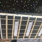 Free shipping the best quality electric guitar. Handle and customize all types