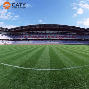 China Nontoxic Artificial Grass Infill Elastic EPDM Crumb Rubber For Soccer Football Pitches factory