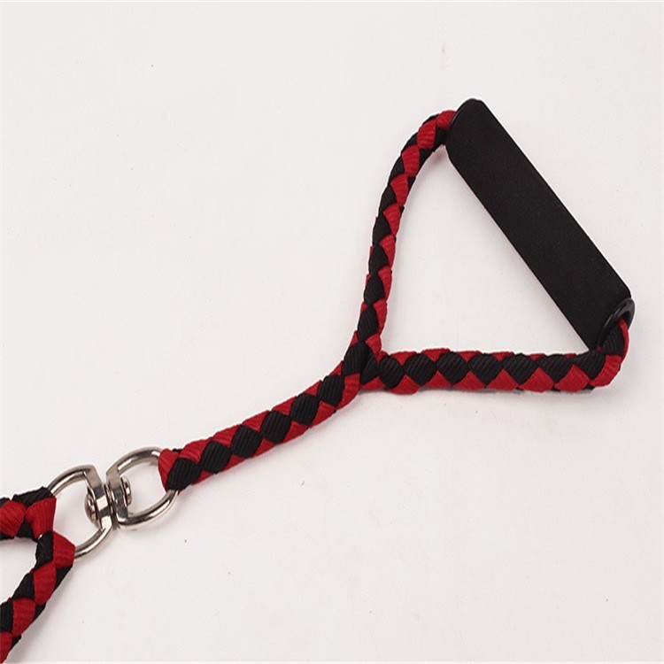double handle dog lead