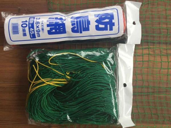 Diamond Mesh Anti Bird Netting , HDPE Fruit Tree Bird Netting , Green