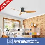 Remote Control Decorative Flush Mount Ceiling Fan 5 Speed With Light