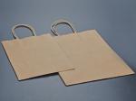 Portable brown paper bag