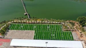 China Rubber Granules / Quartz Sand Artifical Football Pitches Weaving Technique Dtex 8000-15000 factory