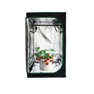 China Oxford Fabric 600D Mylar 80x80x160CM Grow Tent Complete Kit Easy Installation factory