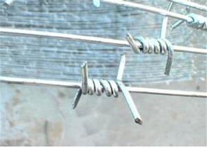 China Concertina Shape Bulk Barbed Wire , Single Twist Barbed Wire High Security Sharp factory