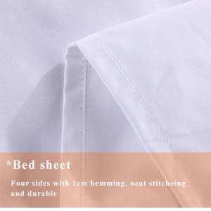 Queen Size Hotel Bed Sheet with Customization and Sophisticated Stripe Design