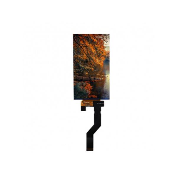 5.98 inch TFT display close-up