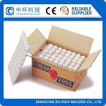 Rotary Cardboard Recycling Machine Apple Tray Making With Dryer