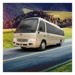 Cruising Range 150km Electric Mini Coaster Bus 100km/H