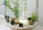 Transparent Fish Tank Tempered Safety Glass High Borosilicate Glass