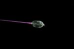 Customized Medical Kyphoplasty Balloon Catheter With Peanut Type