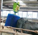 CE 1mm Galvanized Steel L650mm Animal Feeding Trough