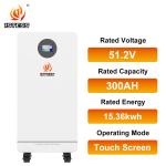 51.2V 300AH Lithium Ion LiFePO4 Battery for Solar Home Energy Storage Capacity