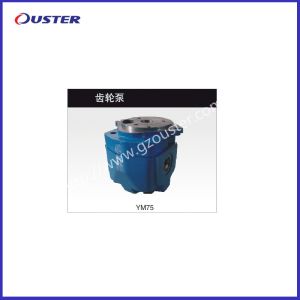 China YM75 High-performance Gear Pump with Half Year Warranty and 10-Year Export Experience factory