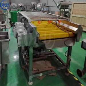 Fruit and vegetable processing equipment/wool roller high pressure spray