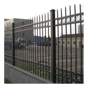 China Powder Coated Decorative Ornamental Short Wrought Iron Fence for Australia Market factory