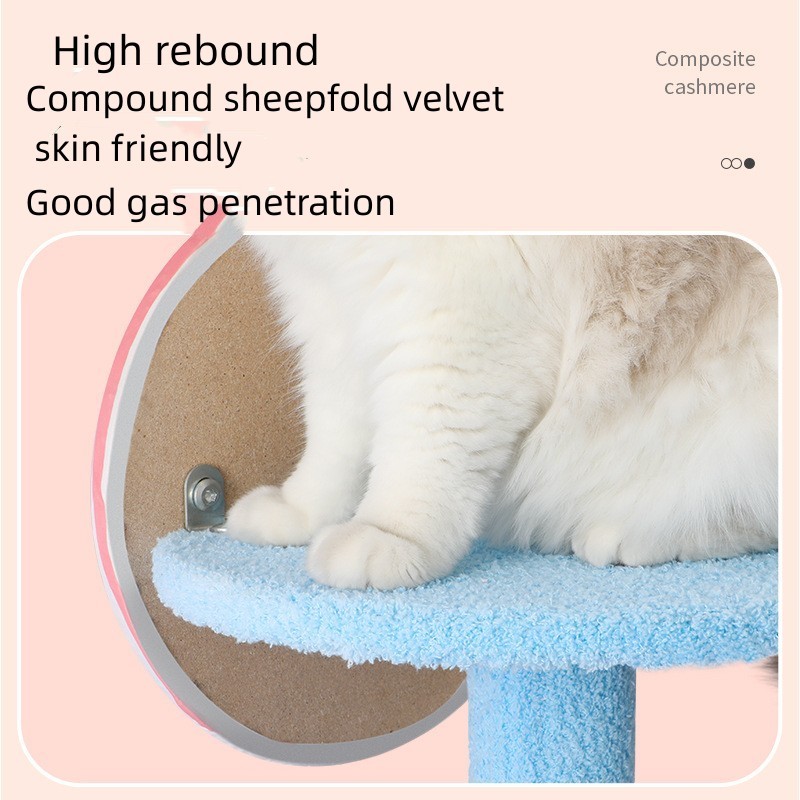 cat tree with bed on top