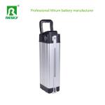 Silverfish Lithium Battery 48V 15.6ah 500W Storage Li-Ion 18650 Battery Pack For