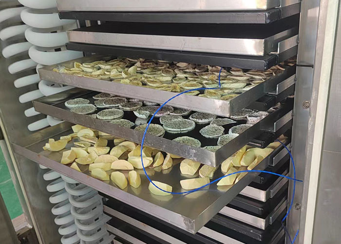 Lyophilization Industrial Freeze Dryer Water Cooling