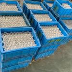 Al203 Alumina Ceramic Plunger For Chemical And Pharmaceutical Manufacturing