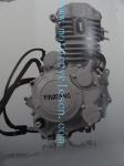 162FMJ CG150 172MN300 Single cylinder Steaming water cool Three Wheels
