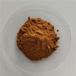 Herbal Medicine Costus Root Extract Powder For Sale