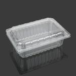 Virgin Food Grade PET 22.5cm Disposable Plastic Food Box