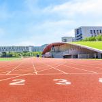 2.5mm Synthetic Sports Flooring Prefabricated System Running Track Multicolor