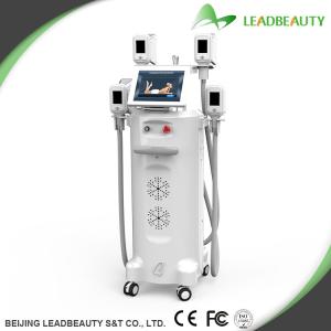 China Best cooling system cryolipolysis body slimming machine for sale factory