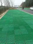 ISO Certified Honeycomb Gravel Stabilizer Grass Grid Paving Grids for Plastic
