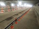 Floor Ground Chicken Water Feeding System Broiler Automatic Feeder