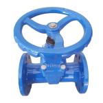 Din 3202 F5 Sluice Resilient Seated Gate Valve DN50-DN800