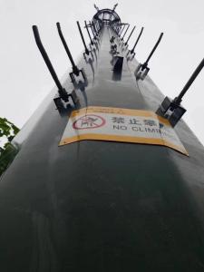 China 56 meter monopole gsm Self Support Cell Tower factory