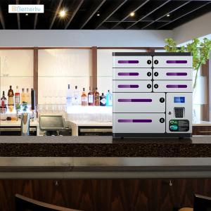 China 5V 2.4A Wall Mounted Cell Phone Charging Station for Cafe factory