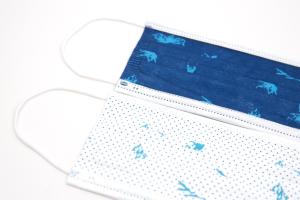 China Printed Tri Layer Disposable Protective Face Mask factory
