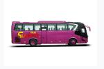 Rose 24-52 Seater Coach Tour Bus Rear Rear Drive 6x2 Diesel Minibus