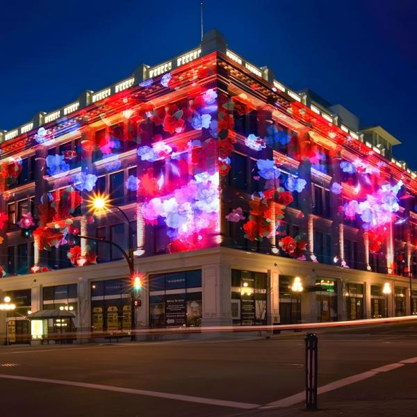 Outdoor Laser Light Show Machine Animation Show Laser Commercial Lights