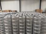 New Type Top Sale link fence protection cars chicken breeding net domestic